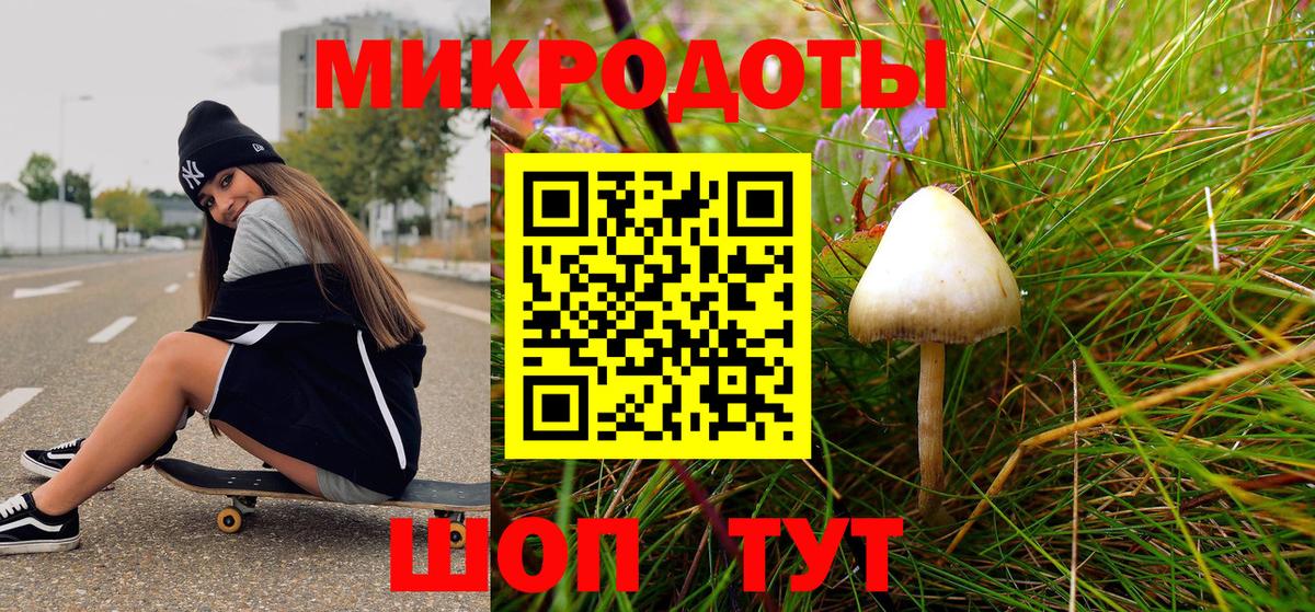 наркота  Псилоцибиновые грибы Psilocybine cubensis  Вход с VPN  Железногорск 